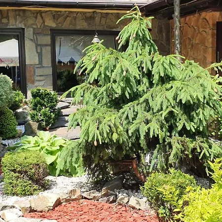 Aspen Bed and breakfast Szczyrk
